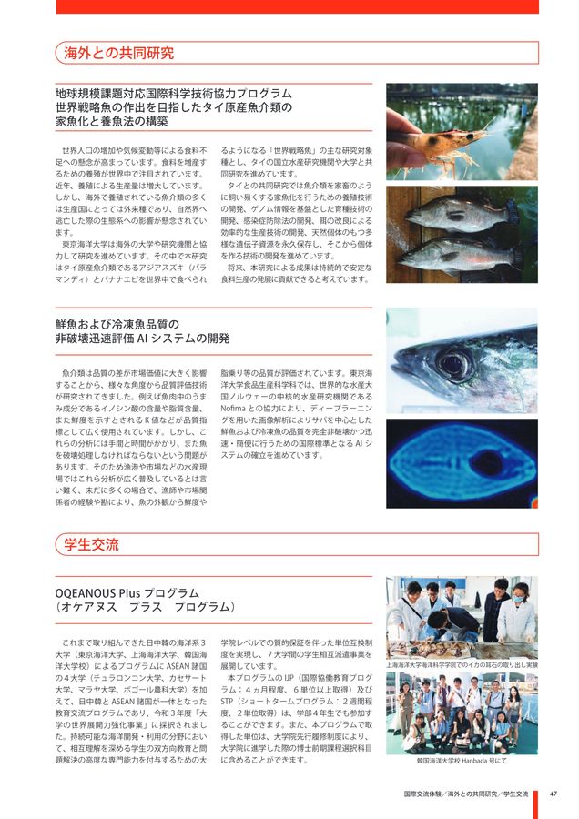 東京海洋大学 ガイドブック2024