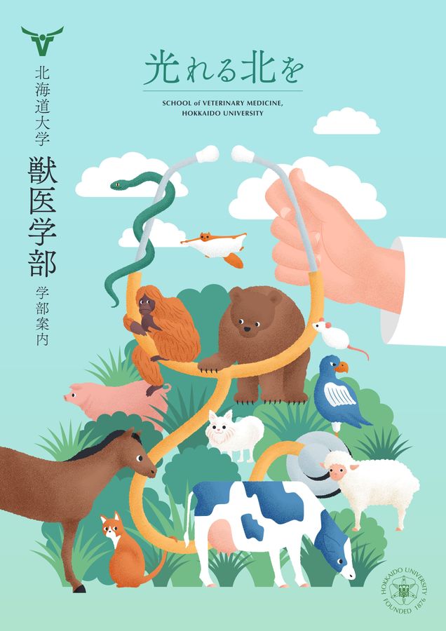 北海道大学 獣医学部 学部案内