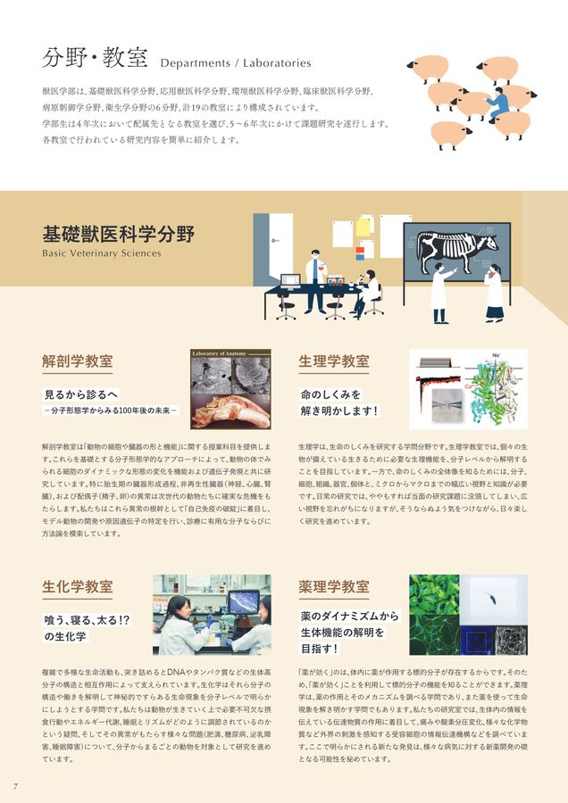 北海道大学 獣医学部 学部案内