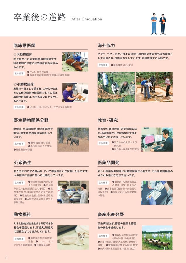 北海道大学 獣医学部 学部案内