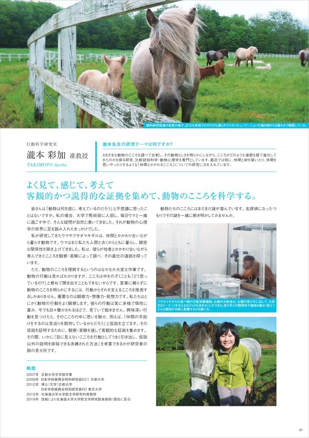 青本 北海道大学 理系 前期日程 2000年～2023年 24年分 駿台予備学校