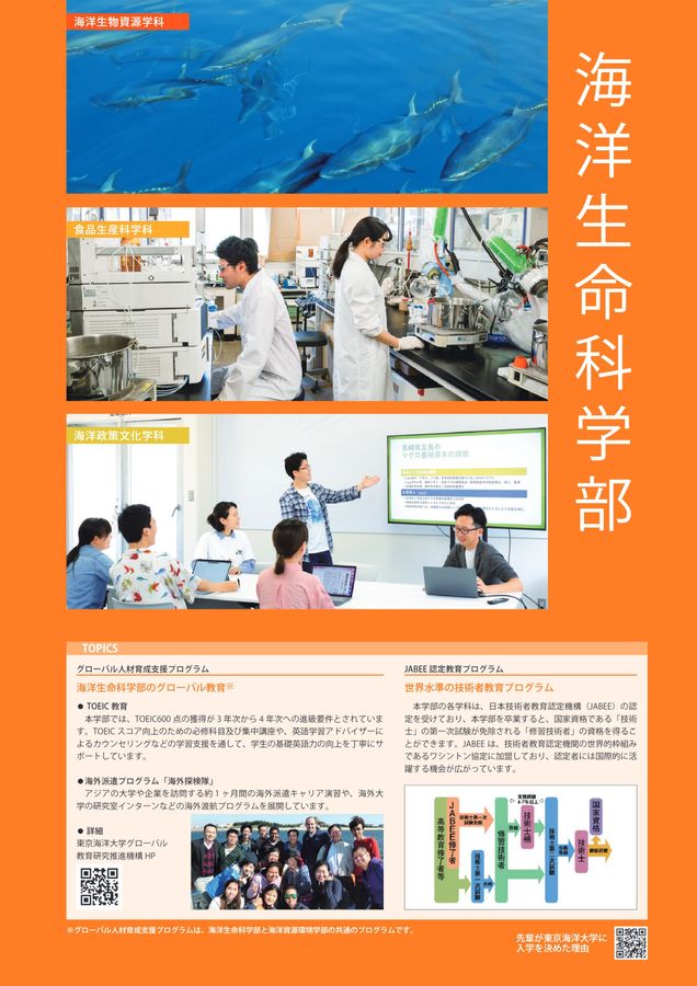 赤本　東京海洋大学　東京商船大学　東京水産大学　1996年版 東京海洋大学 東京商船大学 東京水産大学 1996年版 赤本 - メルカリ