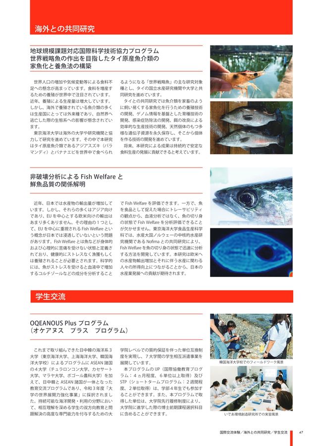 東京海洋大学 ガイドブック2025