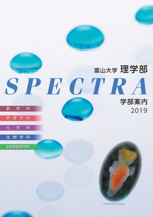 富山大学 理学部 学部案内19
